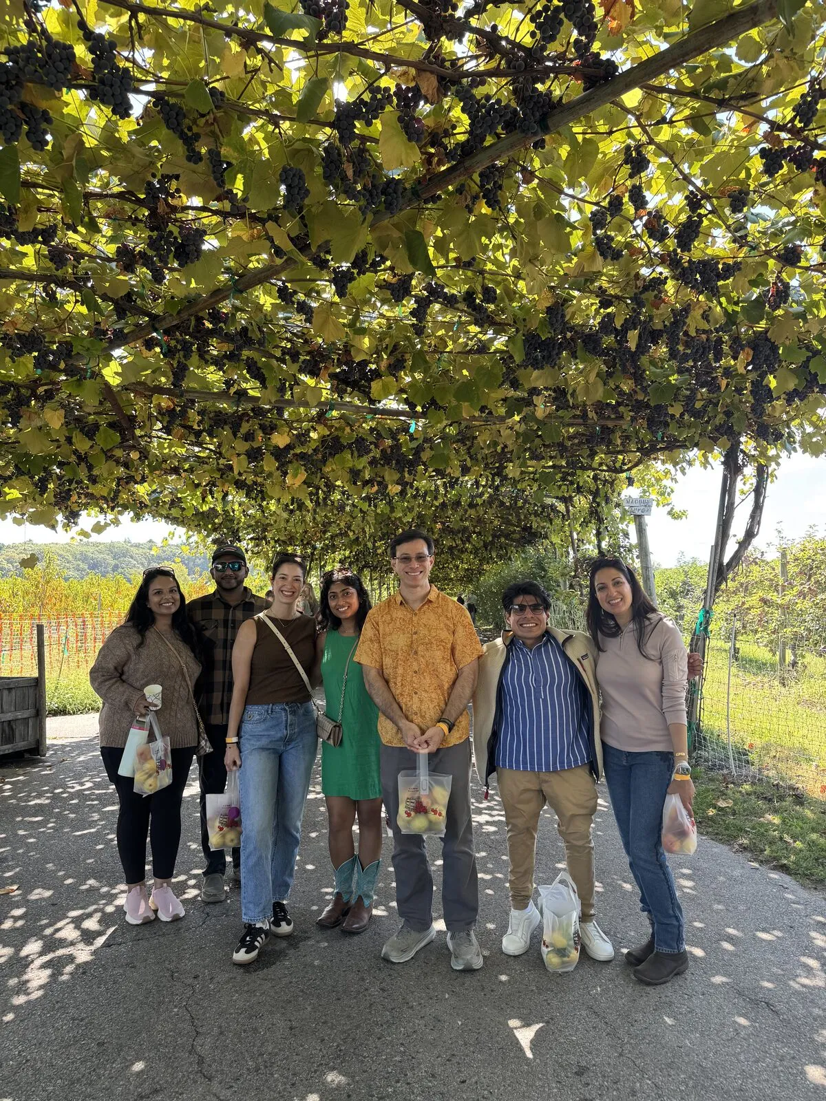 Among the vines at the orchard.