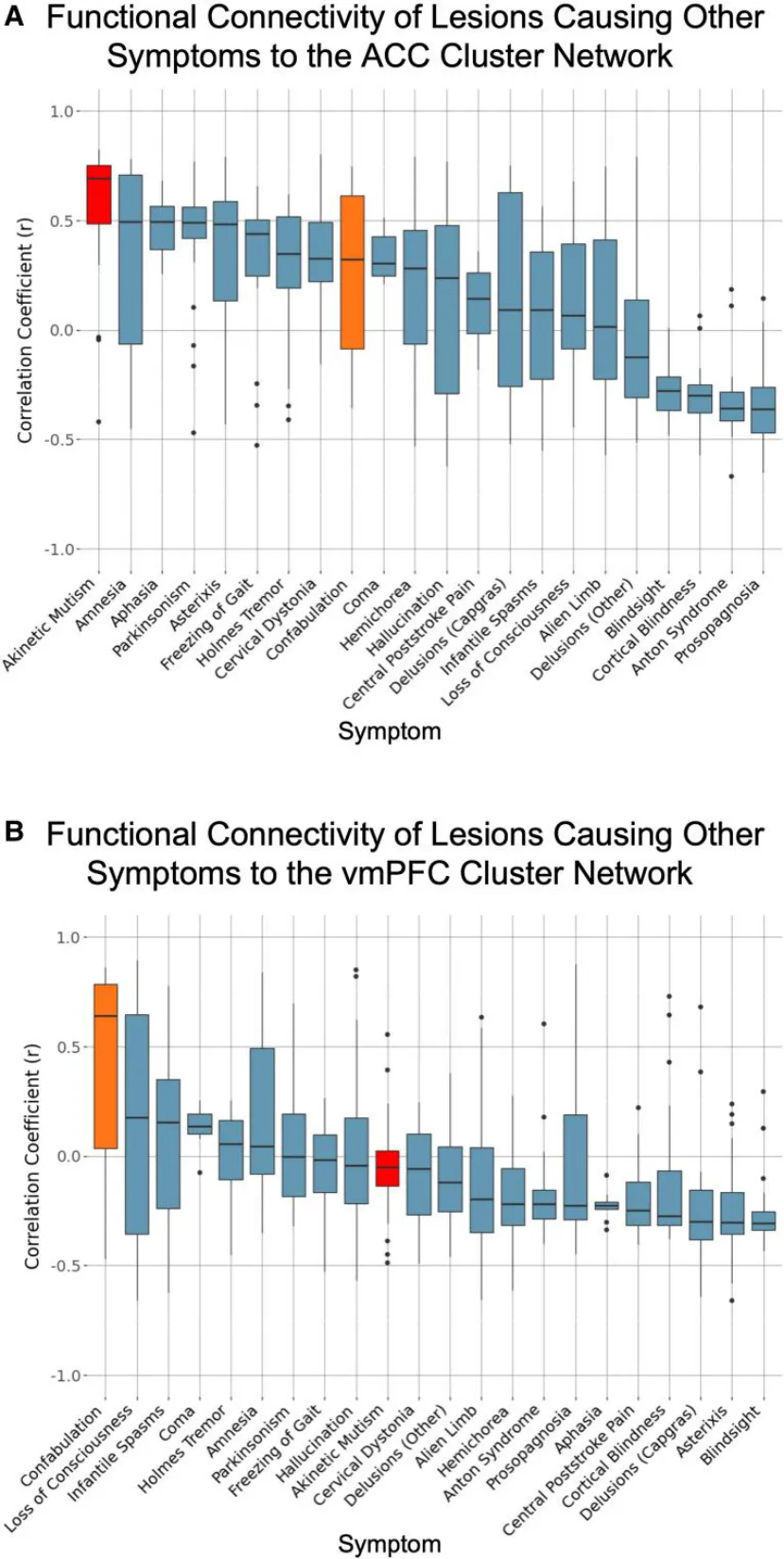 Figure 3 Alignment of cluster networks with lesions causing other symptoms. Box plots showing the distribution of correlation coefficients between connectivity maps derived from individual lesions (n = 716 total lesions) associated with 22 clinical syndromes and each cluster network. Each data point represents the correlation coefficient for a single lesion-derived connectivity map, and each box represents the distribution of lesion-level correlations within a syndrome. (A) Correlation of syndrome lesions and the ACC cluster network map. Akinetic mutism showed the strongest correlation (average r = 0.56) with this cluster network. Paired t-tests revealed that lesions causing akinetic mutism (shown in at far left in red) were significantly more correlated to the ACC Cluster network compared with the vmPFC Cluster network [t(27) = 11.678, P < 0.0001]. (B) Correlation of syndrome lesions and the vmPFC cluster network map. Confabulation showed the strongest correlation (average r = 0.46) with this cluster network. Paired t-tests revealed that lesions causing confabulation (shown in orange, ninth from the left) were not significantly more correlated to the vmPFC Cluster network compared with the ACC Cluster network [t(24)=−1.056, P = 0.302].