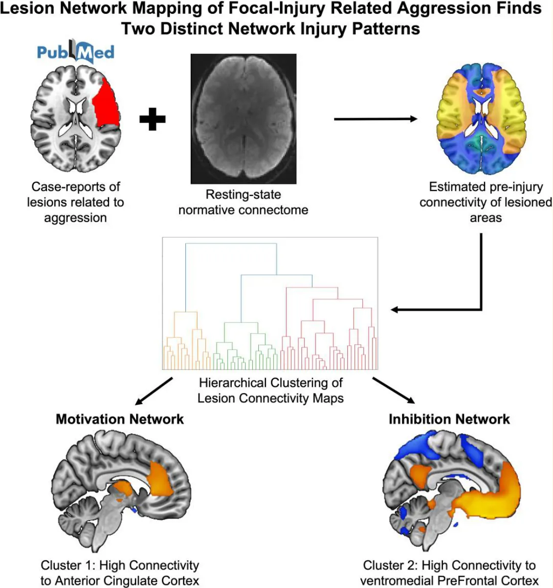 Graphical abstract.