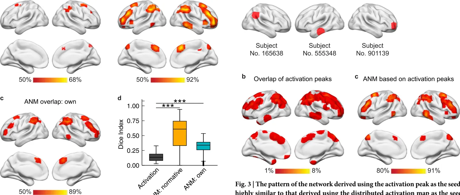 Fig. 3 | The pattern of the network derived using the activation peak as the seed is highly similar to that derived using the distributed activation map as the seed (spatial correlation r = 0.89 for the unthresholded network overlap map). a Activation peaks of the above three representative subjects from the HCP dataset. b The locations of the activation peaks across individual participants (N = 100) were highly heterogeneous, with only 8 out of the 100 activation peaks commonly located in the most convergent brain region. c However, these heterogeneous activation peaks were functionally connected to common set of brain regions. Notably, since the pattern of the activation peak overlap map (b) and activation network overlap map (Fig. 1c) are highly similar, it indicates that even though the location of the activation peaks are heterogeneous across participants, most of them are located in different parts of the same network derived from ANM analyses.